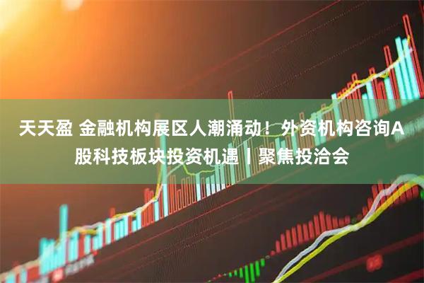 天天盈 金融机构展区人潮涌动！外资机构咨询A股科技板块投资机遇丨聚焦投洽会
