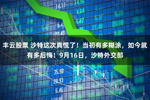 丰云股票 沙特这次真慌了！当初有多糊涂，如今就有多后悔！9月16日，沙特外交部