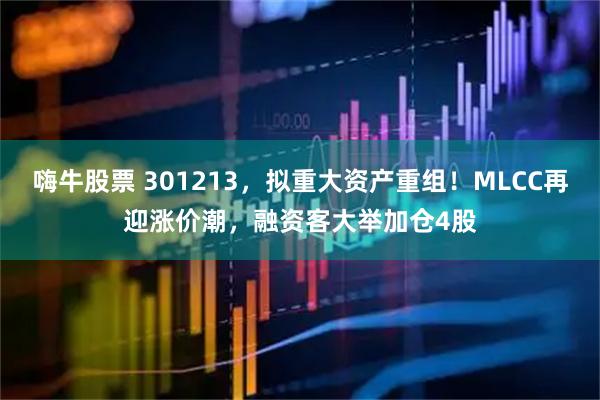 嗨牛股票 301213，拟重大资产重组！MLCC再迎涨价潮，融资客大举加仓4股